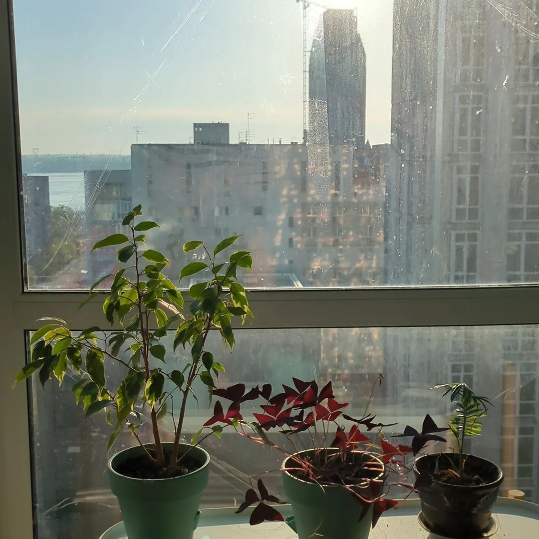 olegpetrushov olegpetrushov