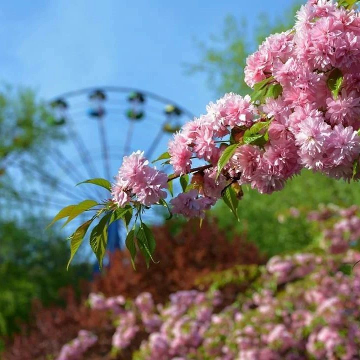 marta.tumanova.1 marta.tumanova.1