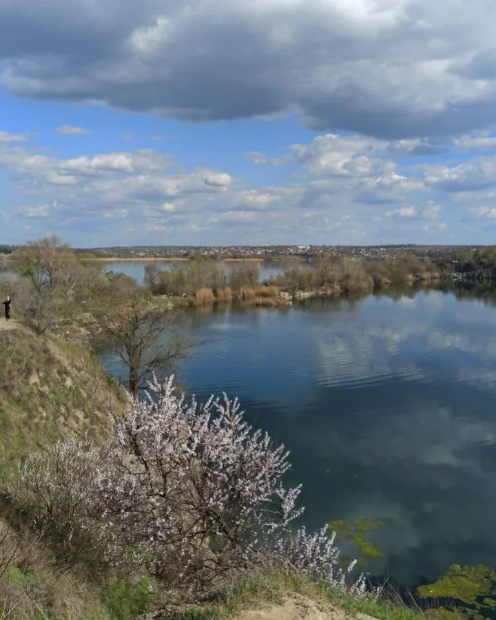 morrmartin morrmartin