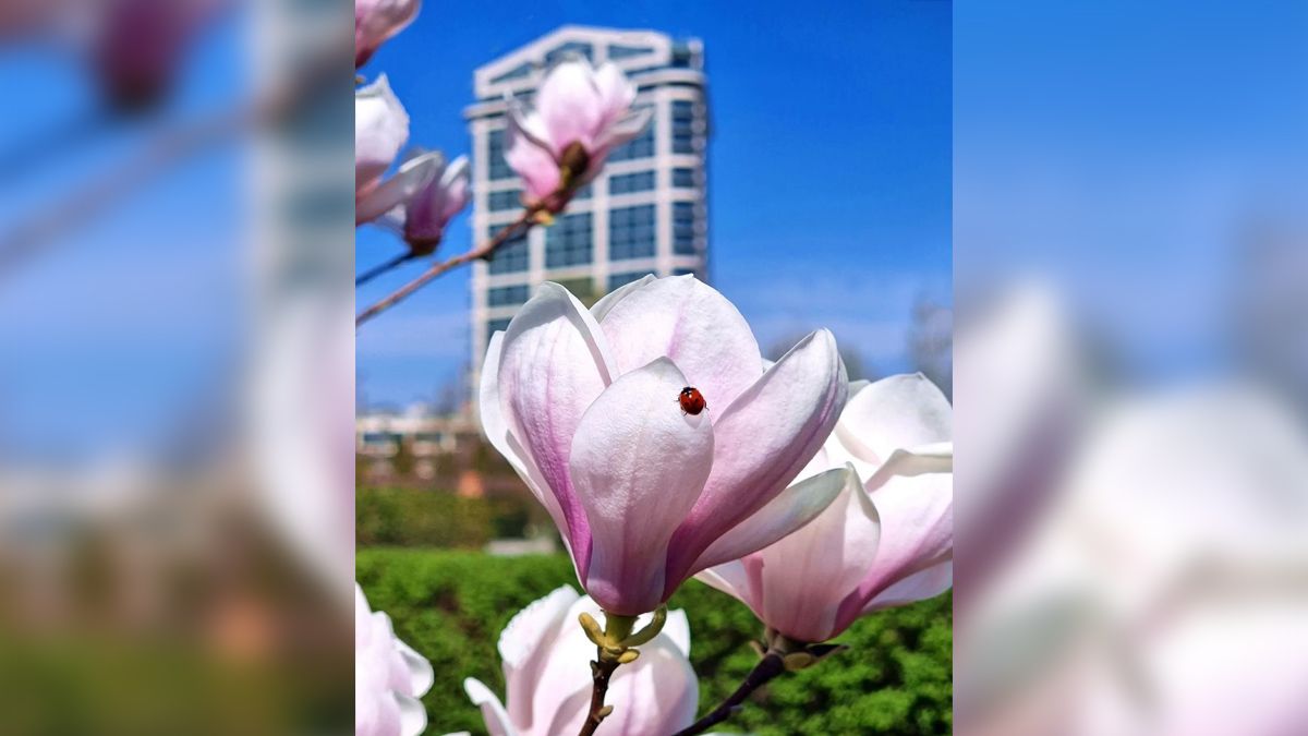 Если бы у Днепра был Instagram: топ красивых фотографий города