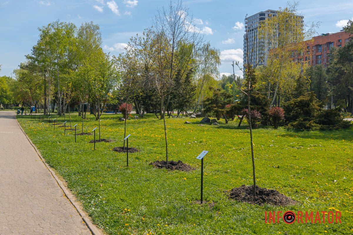 Фото: Денис Чубченко 