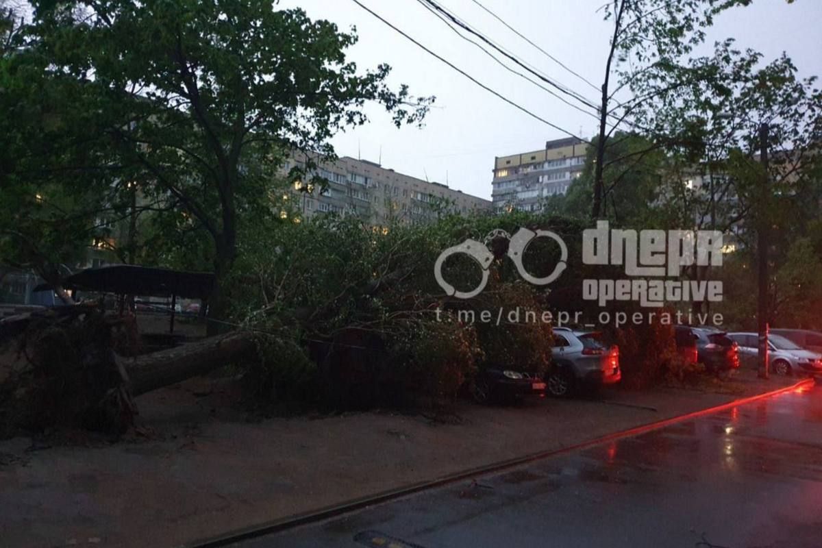 Дерево впало на авто у провулку Крушельницької