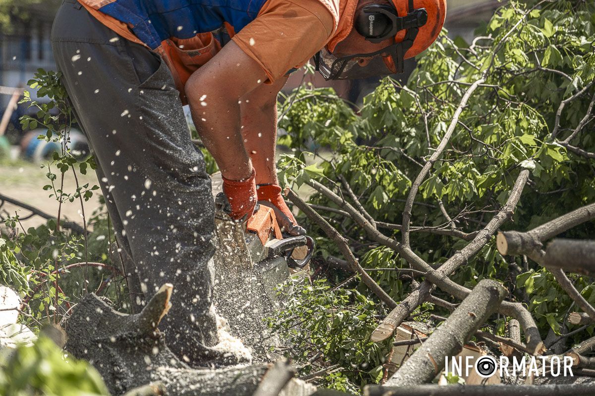 Розпилюють дерева на бруски бензопилою Розпилюють дерева на бруски бензопилою