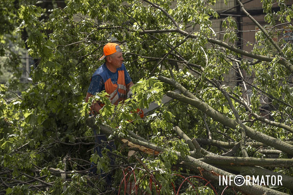 Дерева не витримали вітру Дерева не витримали вітру