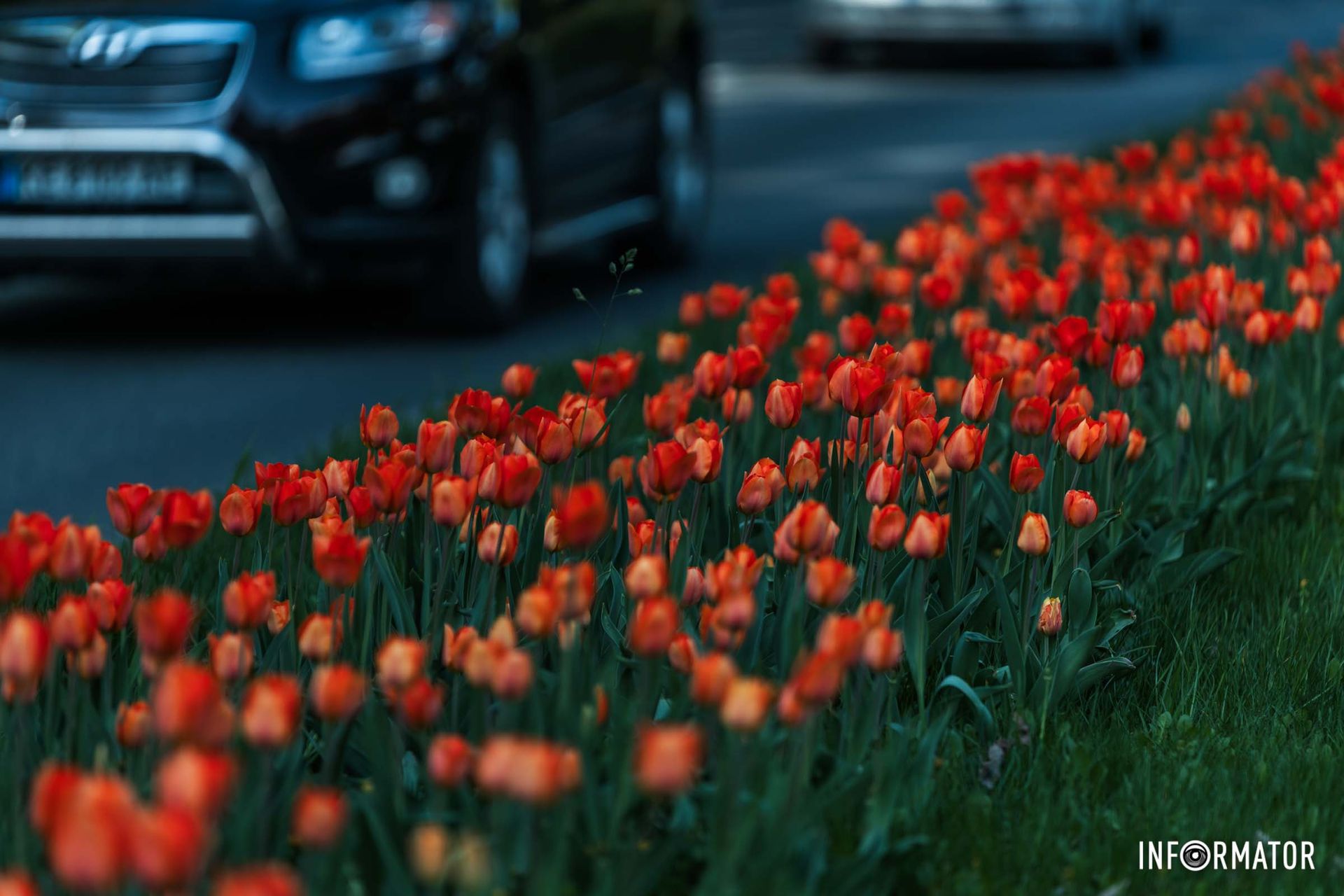А я лежала хвора й самотна.