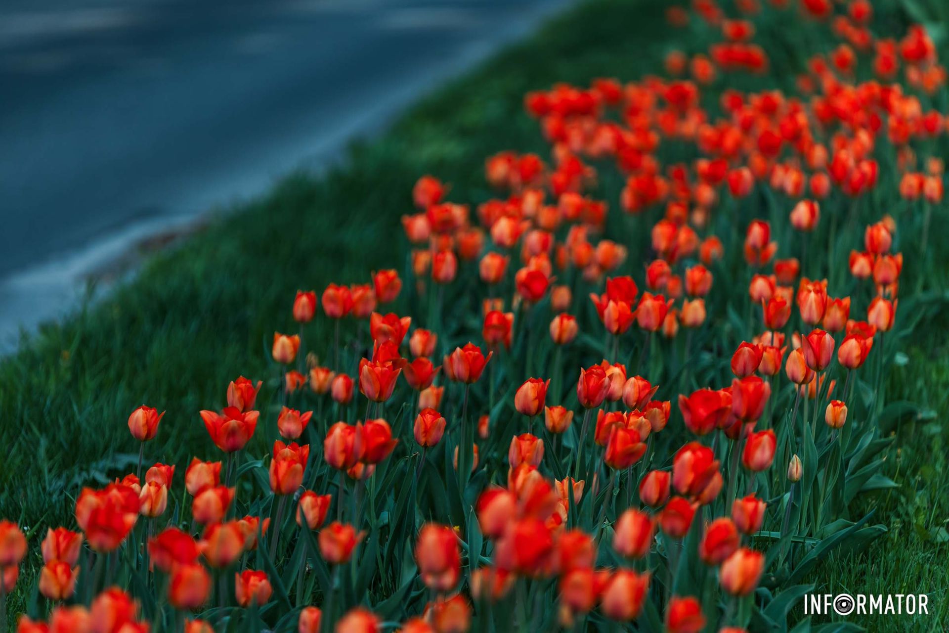Все ожило, усе загомоніло –