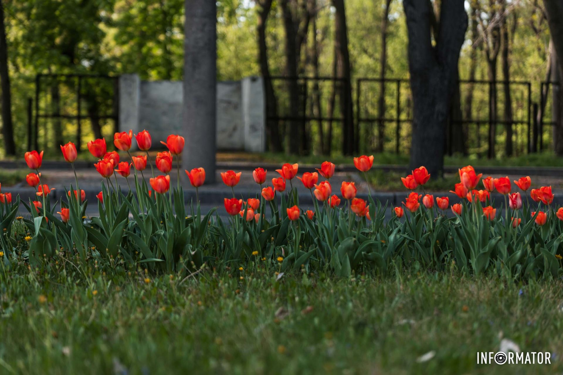 Каких цветов здесь только нет