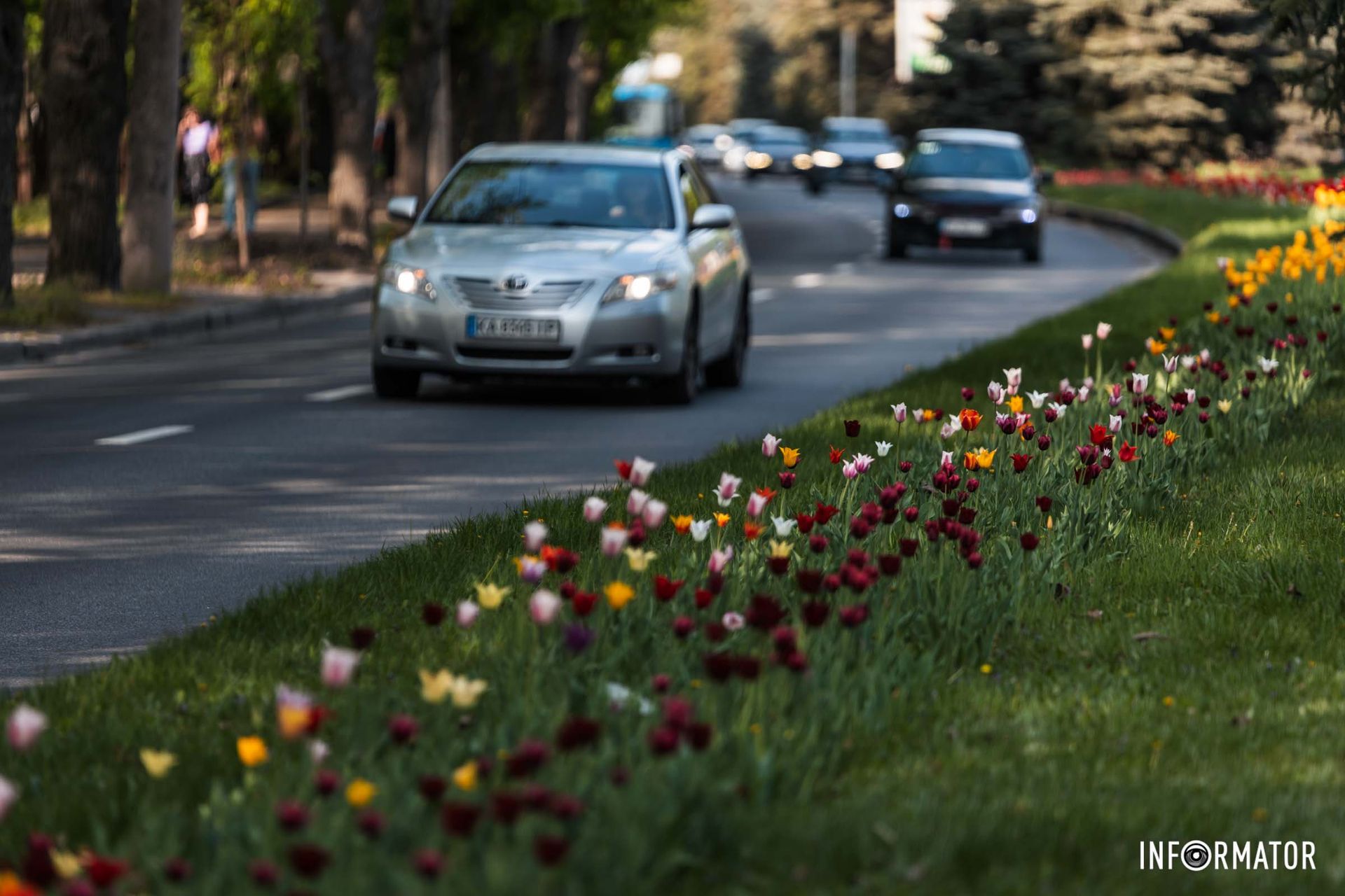 Кстати, если вы можете посетить проспект Науки, то не упускайте возможность насладиться тюльпанами