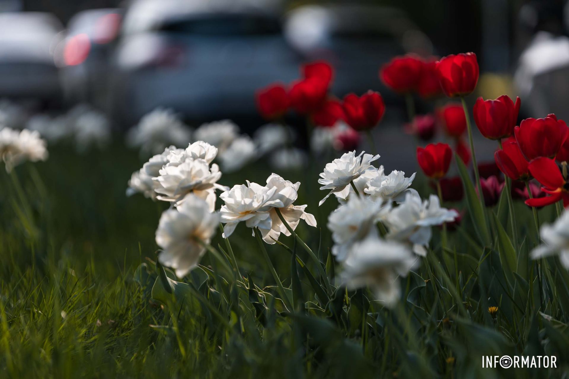 Апрель продолжает радовать днепрян теплой погодой