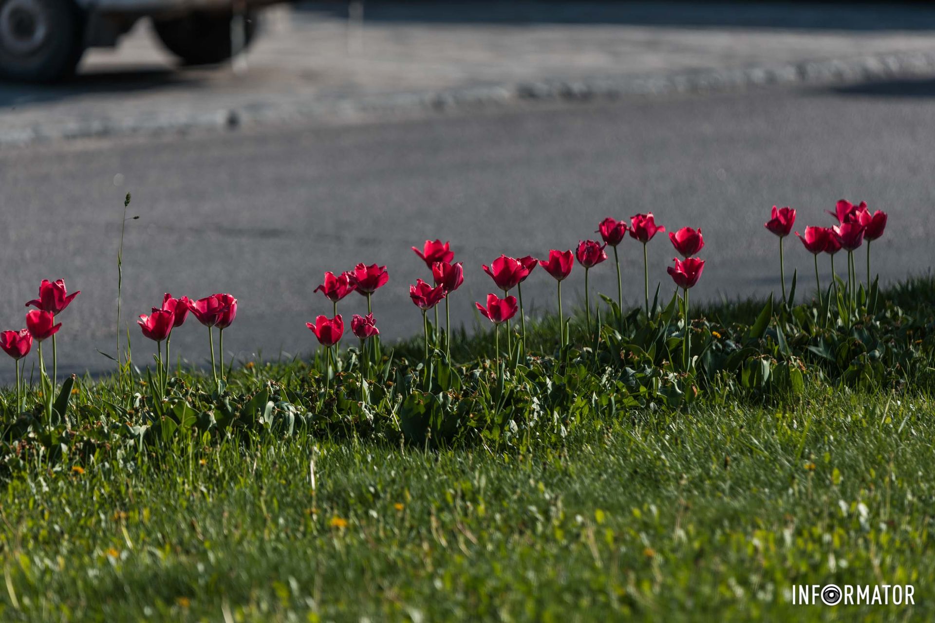 Краса навколо