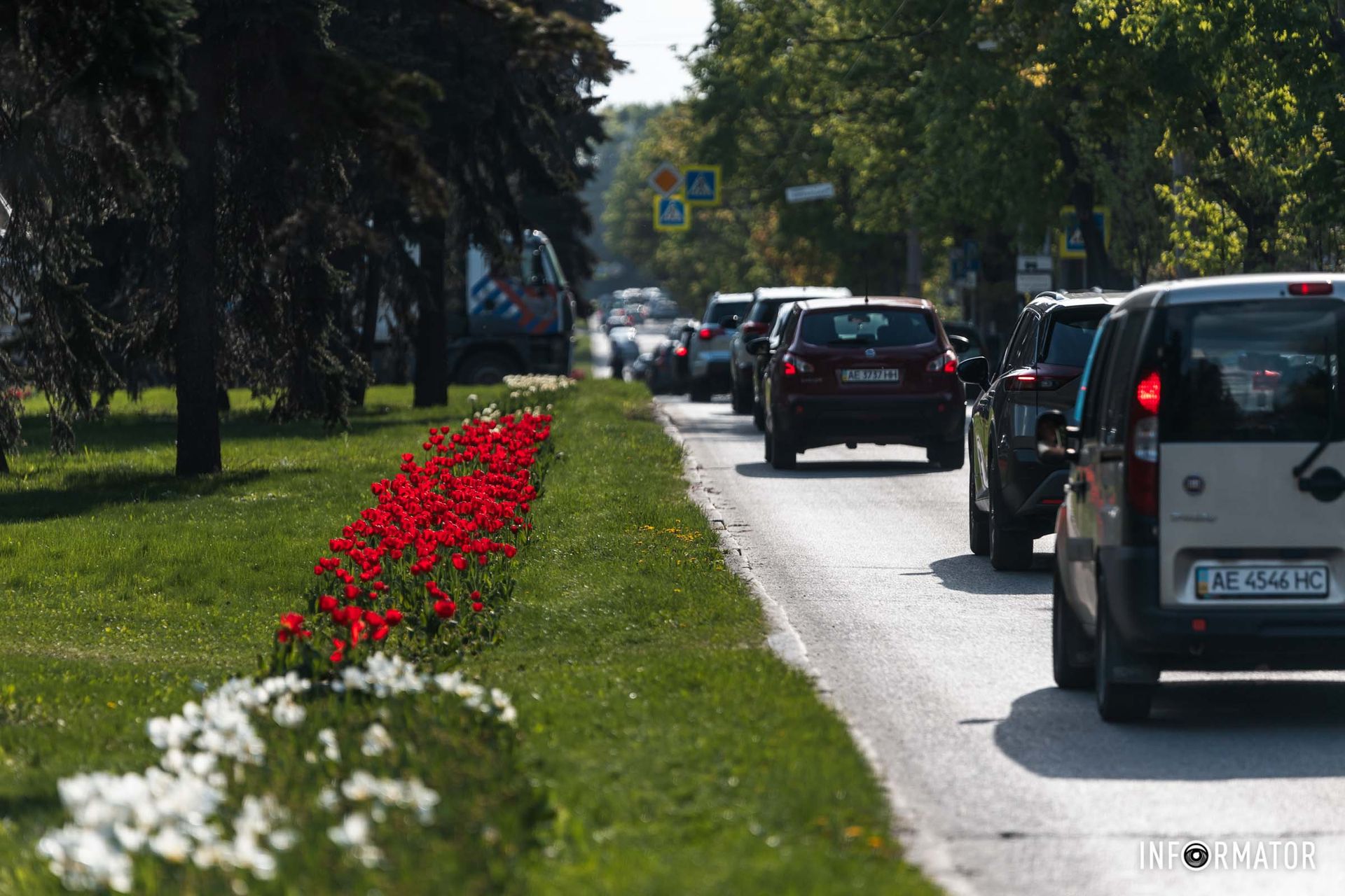 Час для прогулянок