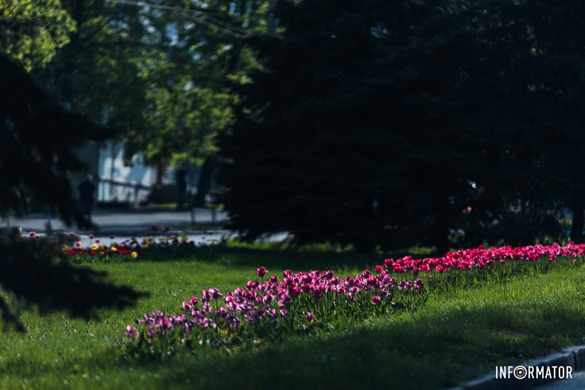 Весна у Дніпрі