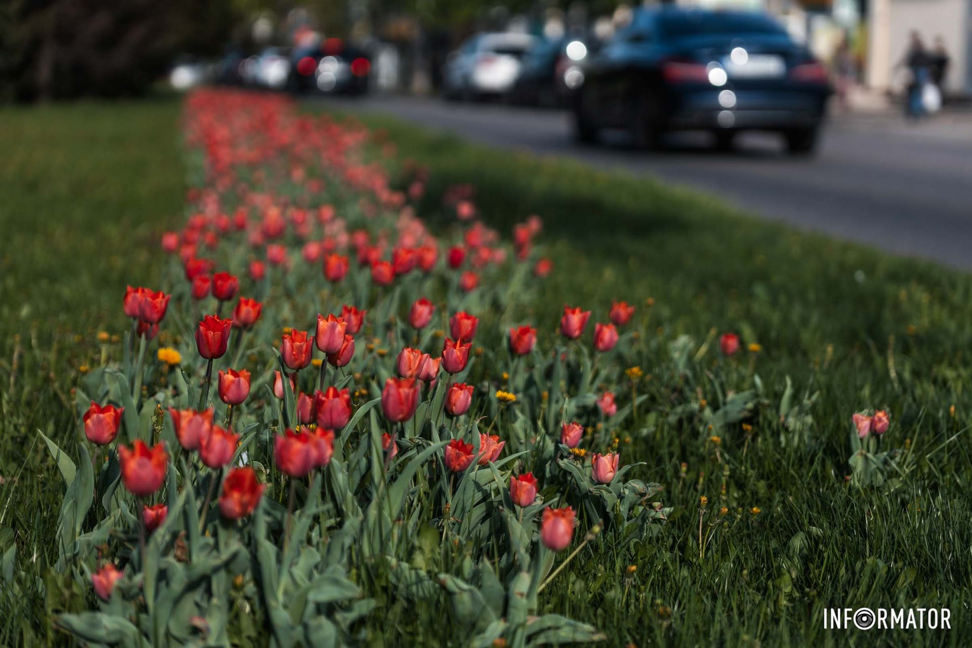 Весни такої не було й не буде,