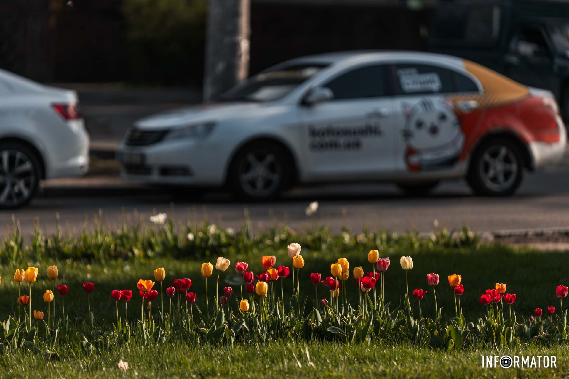 Того дарунку, що весна дала;