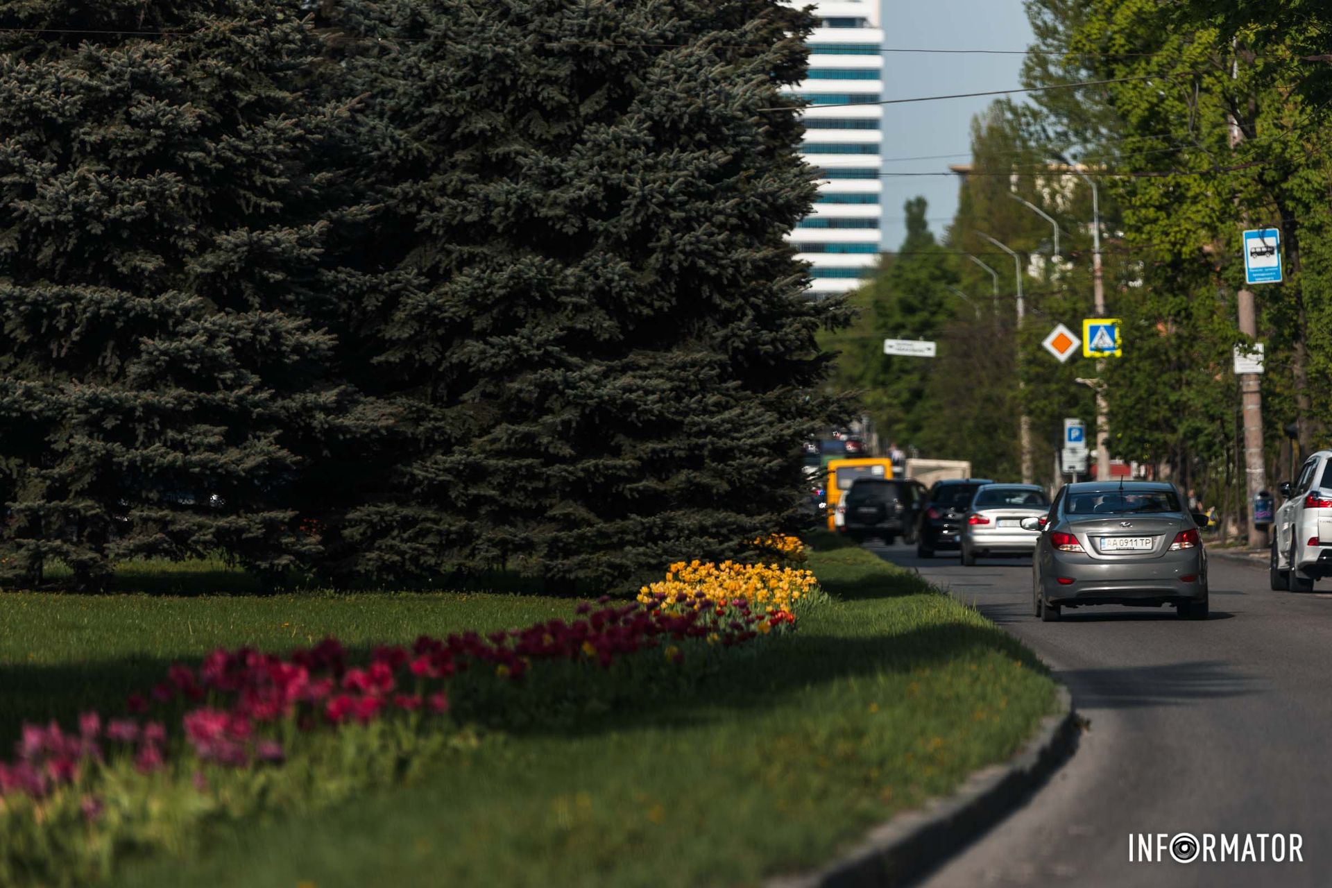 Моя душа ніколи не забуде