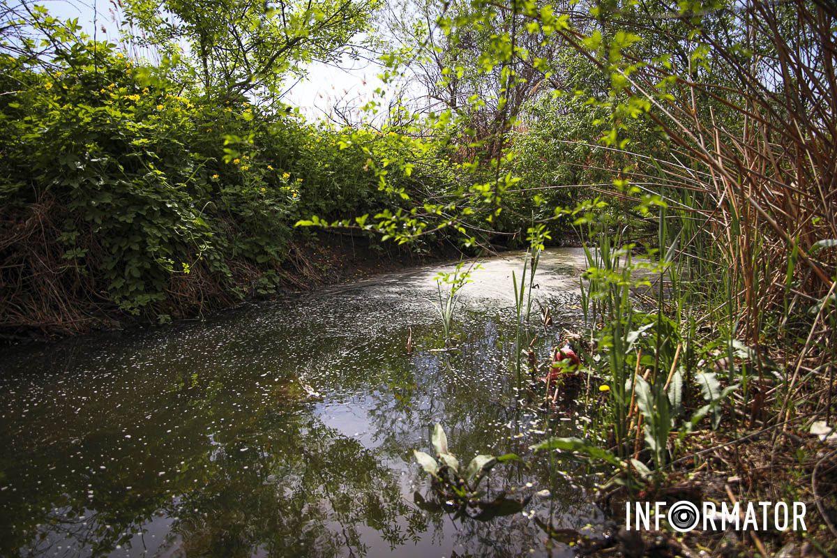 Брудна акваторія  Брудна акваторія