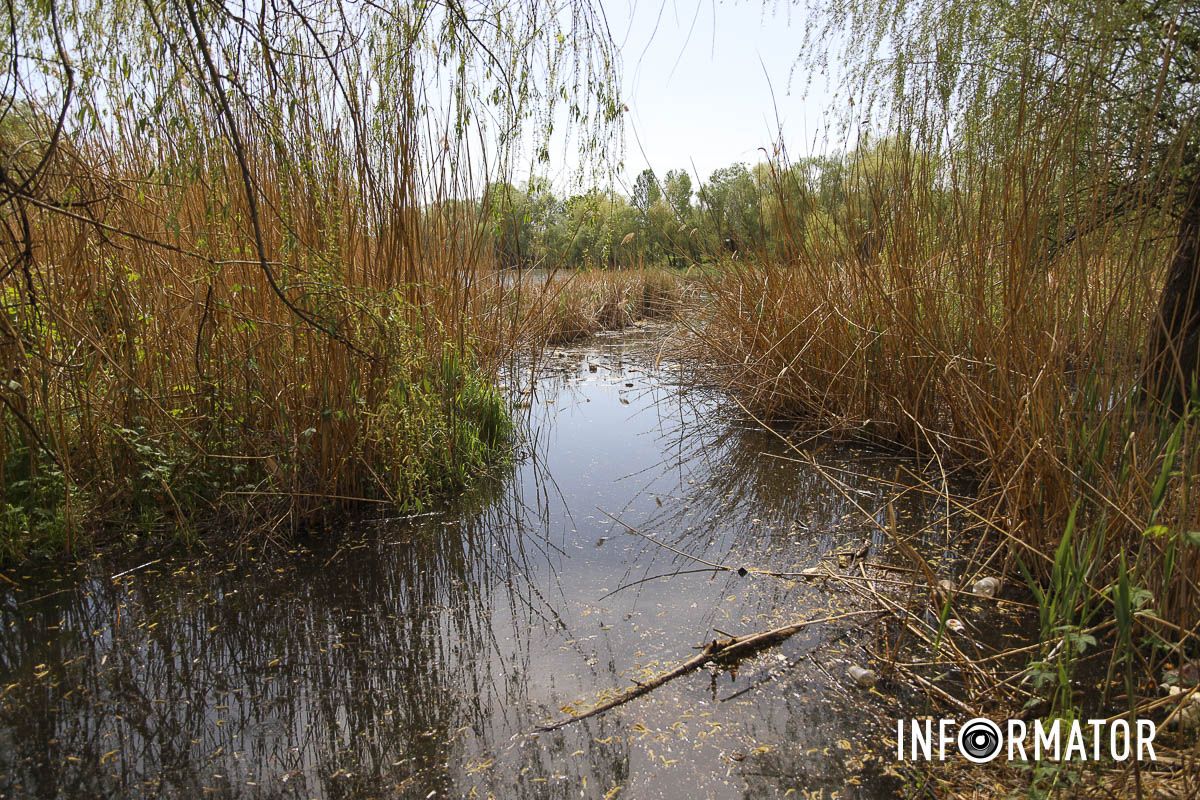 Деякі люди ловлять тут рибу Деякі люди ловлять тут рибу