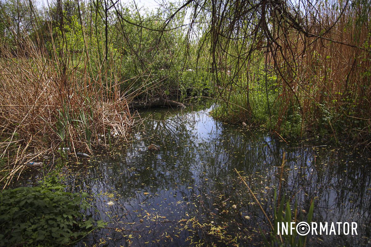 Озеро Куряче знаходиться поблизу Донецького шосе Озеро Куряче знаходиться поблизу Донецького шосе
