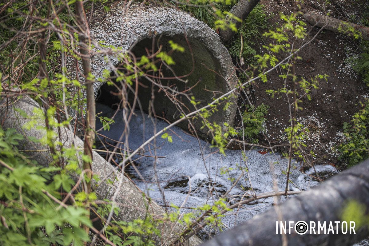 Кому належить цей колеткор Кому належить цей колеткор