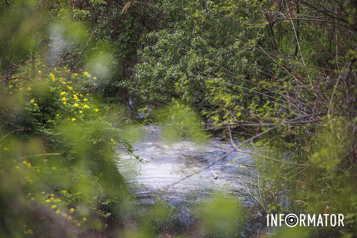 Однак скарги ніяк не вплинули на проблему  Однак скарги ніяк не вплинули на проблему