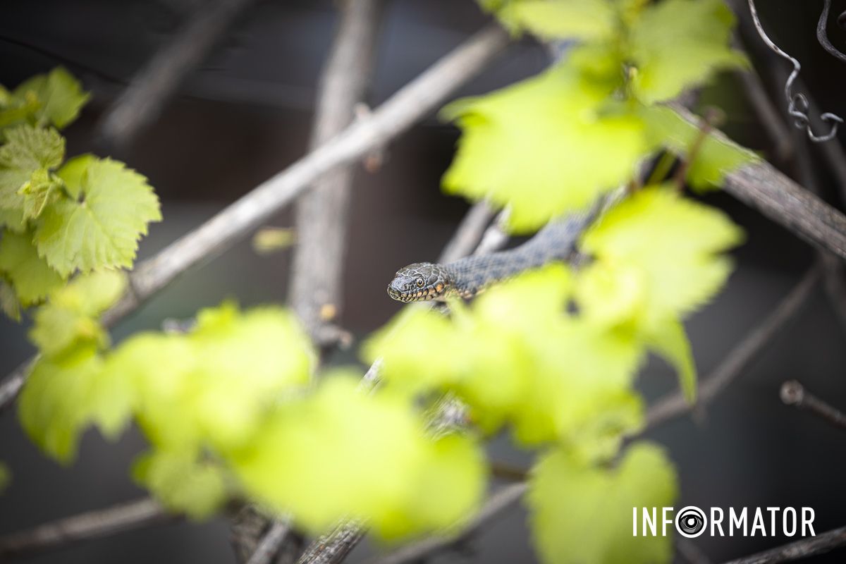 Команда Информатора отправилась к месту происшествия Команда Информатора отправилась к месту происшествия