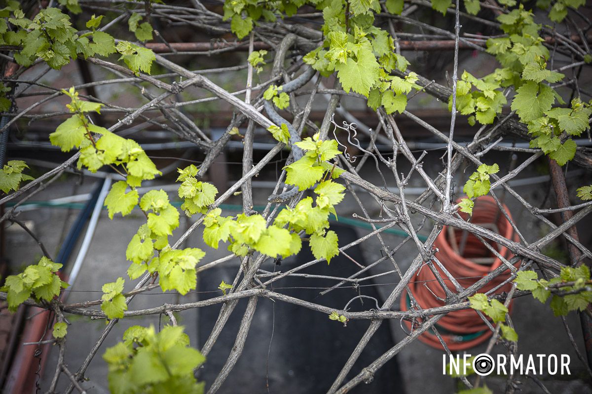 Она грелась на солнышке Она грелась на солнышке