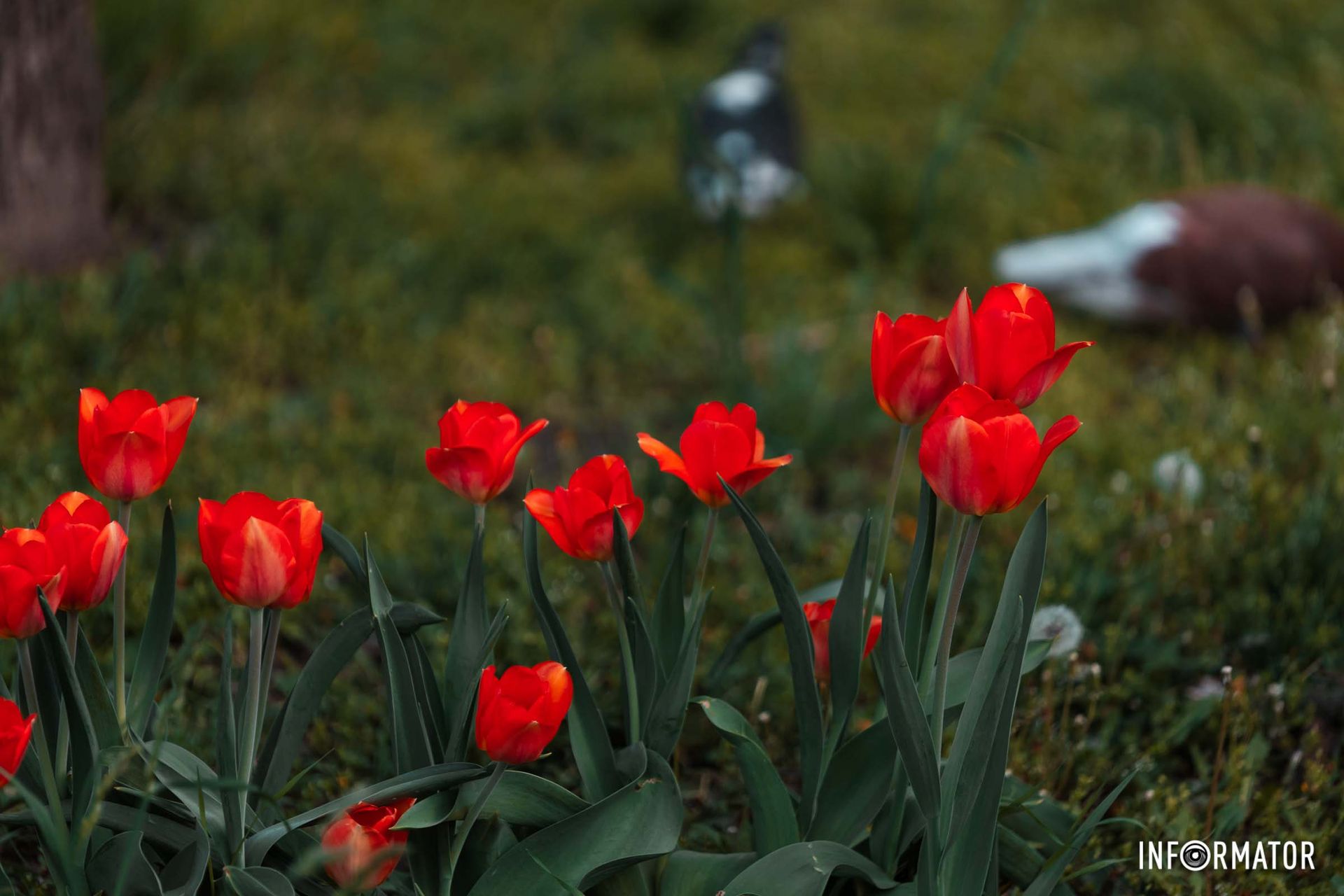 Хоч і снаряд десь поруч причаївся.