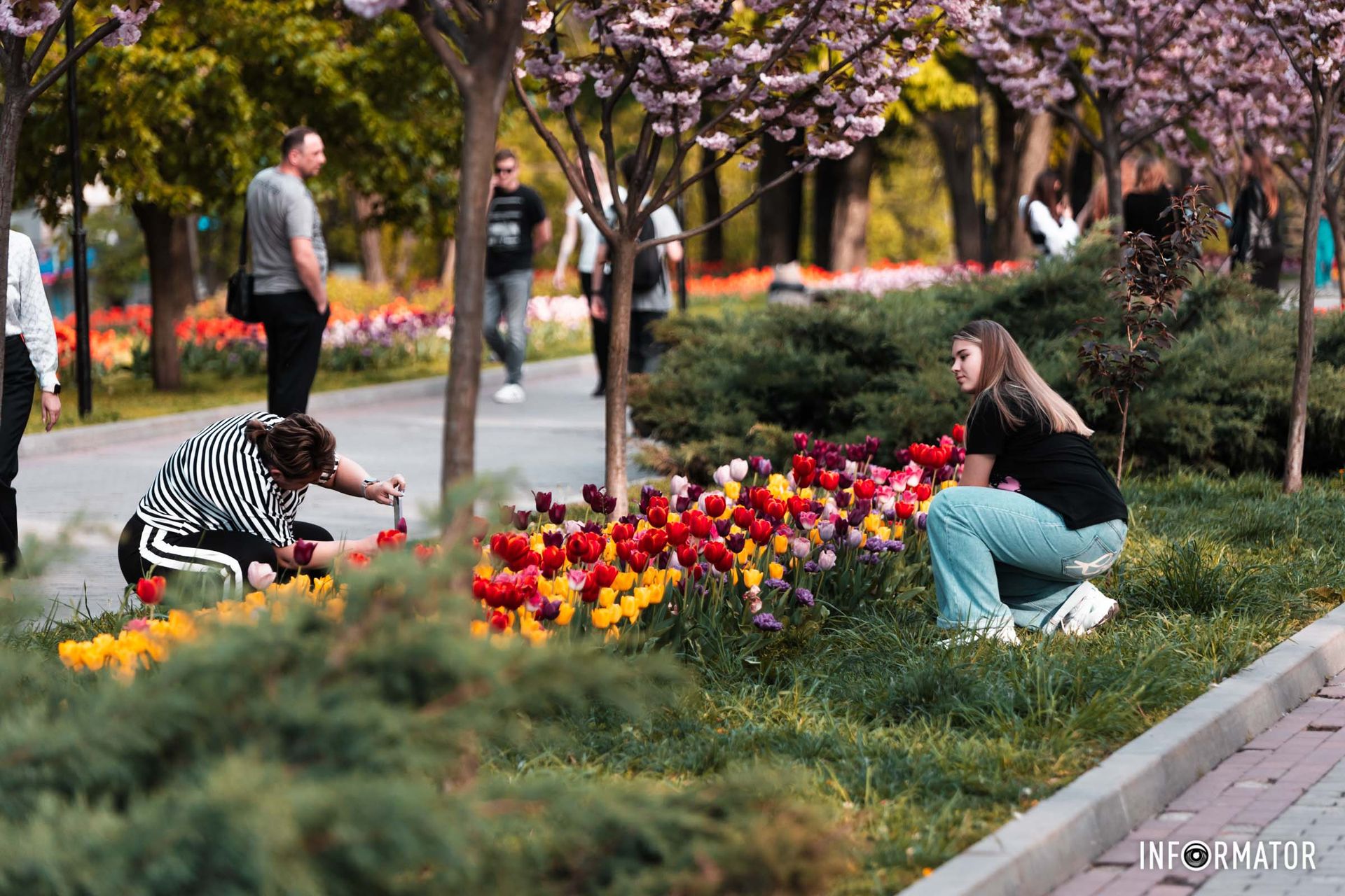Весна не знає, що іде війна,