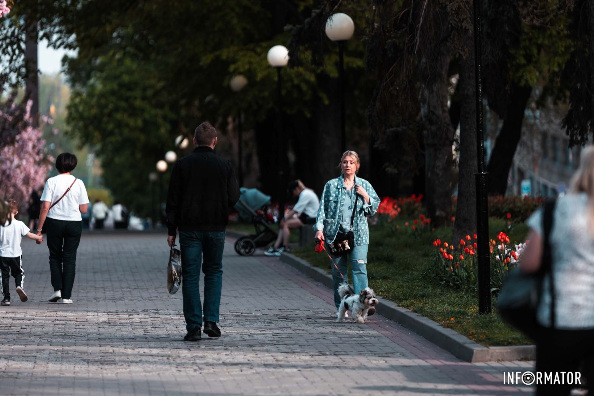 Вірш: Весна не знає, що іде війна