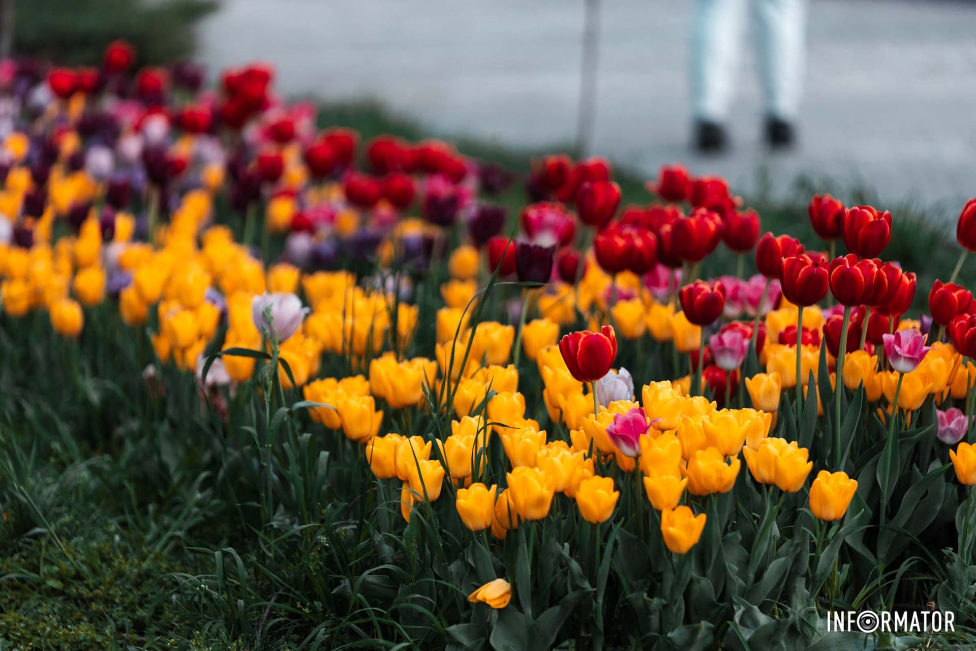 Ще трошки фото