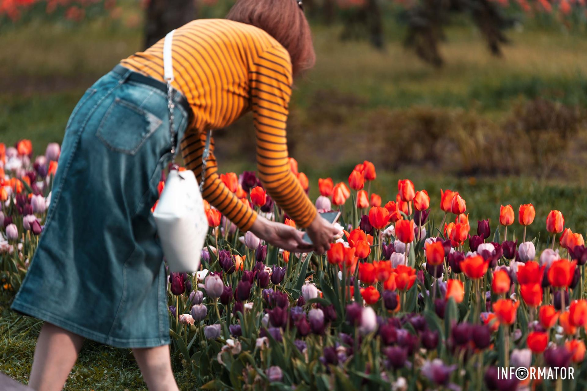 Так і хочеться сфотографувати 