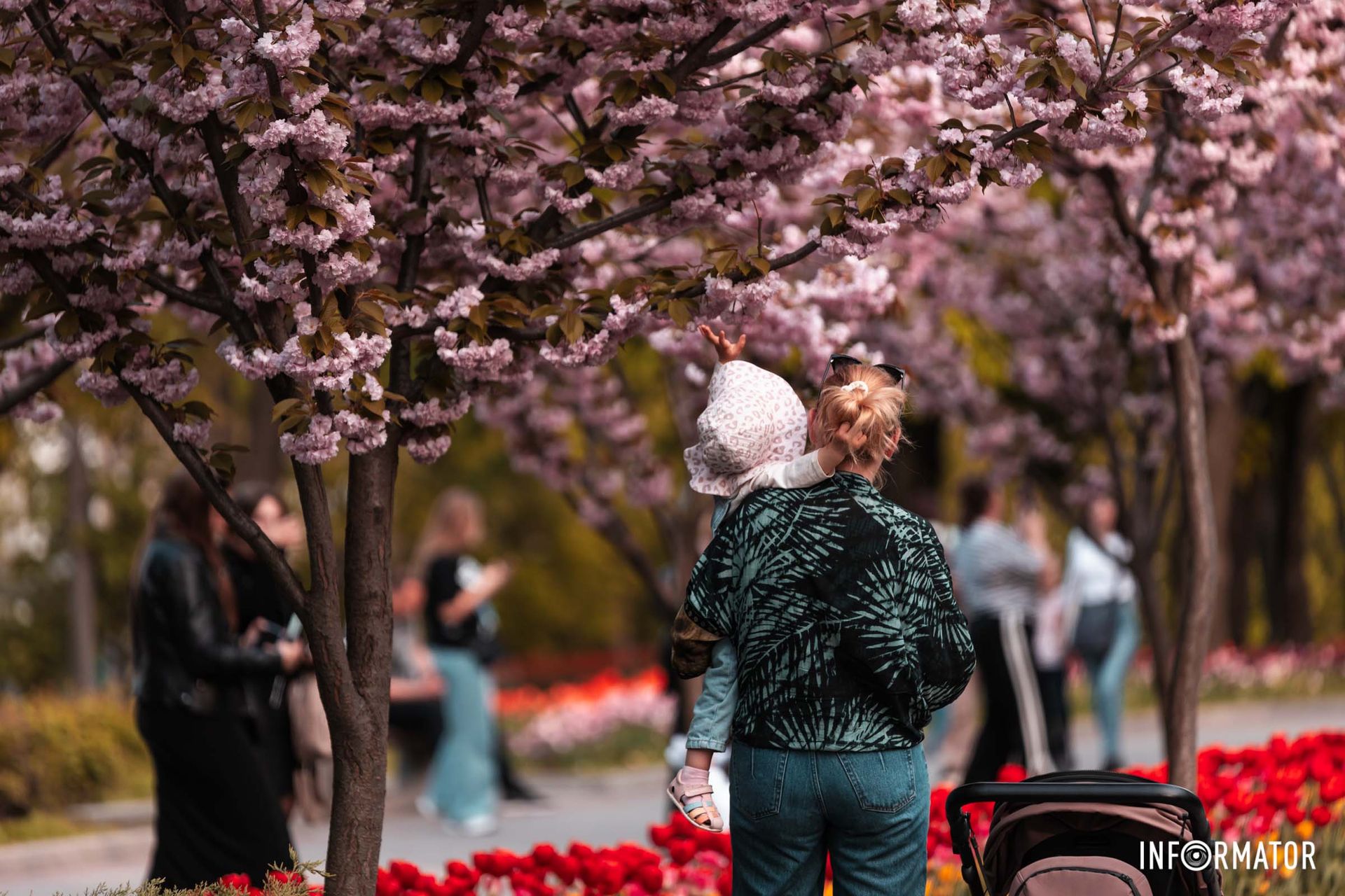 Саме час для прогулянок