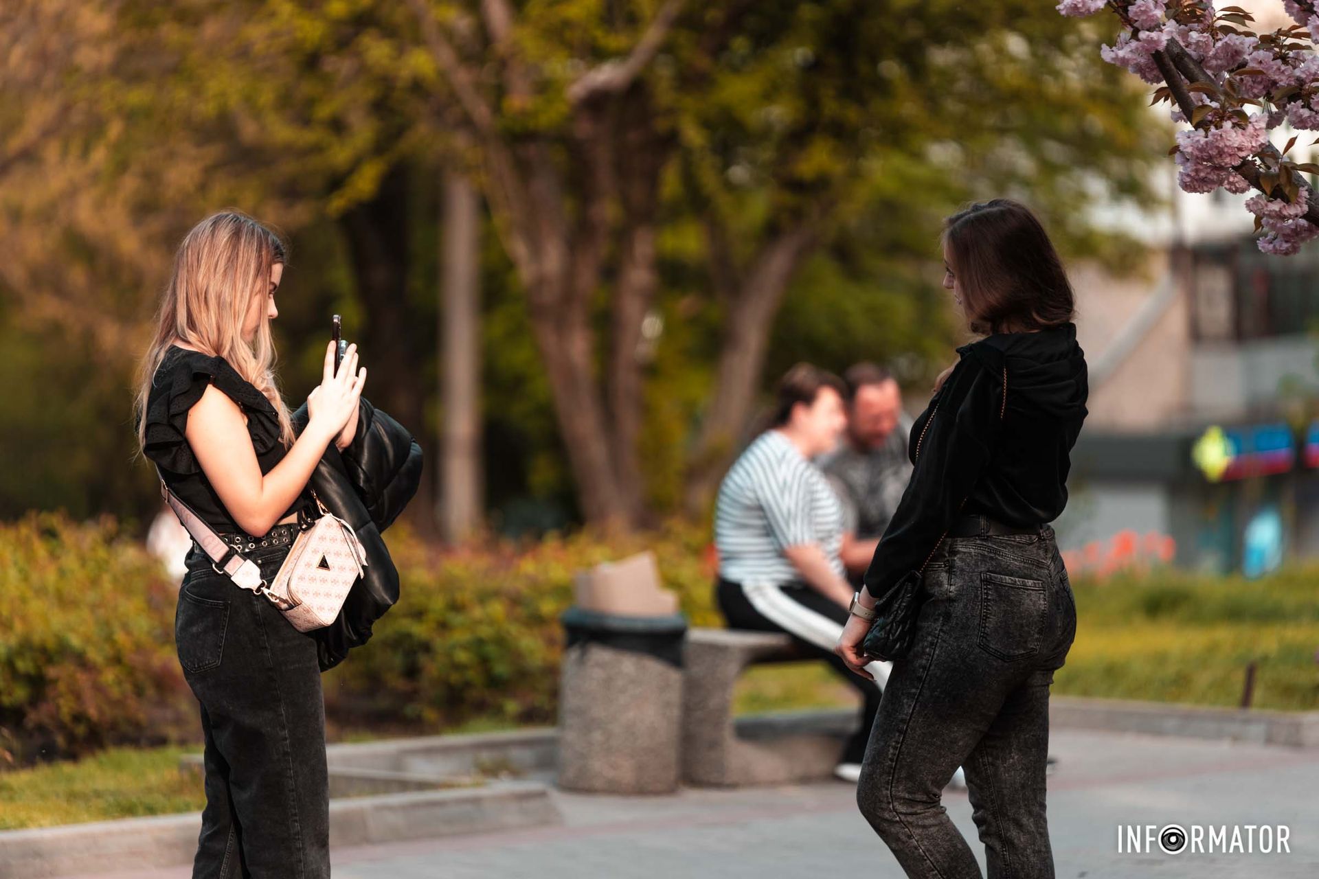 Чи то яскраві тюльпани, що привертають погляд своєю яскравою палітрою