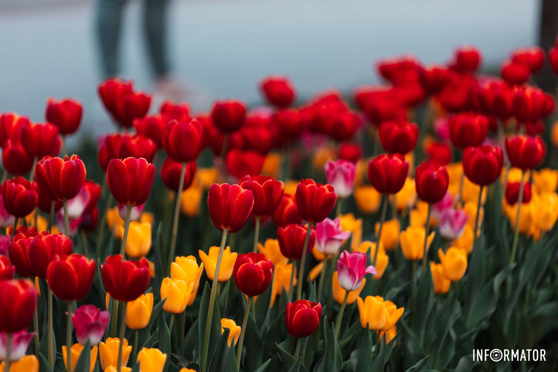 Тут кожен зможе знайти для себе щось особливе