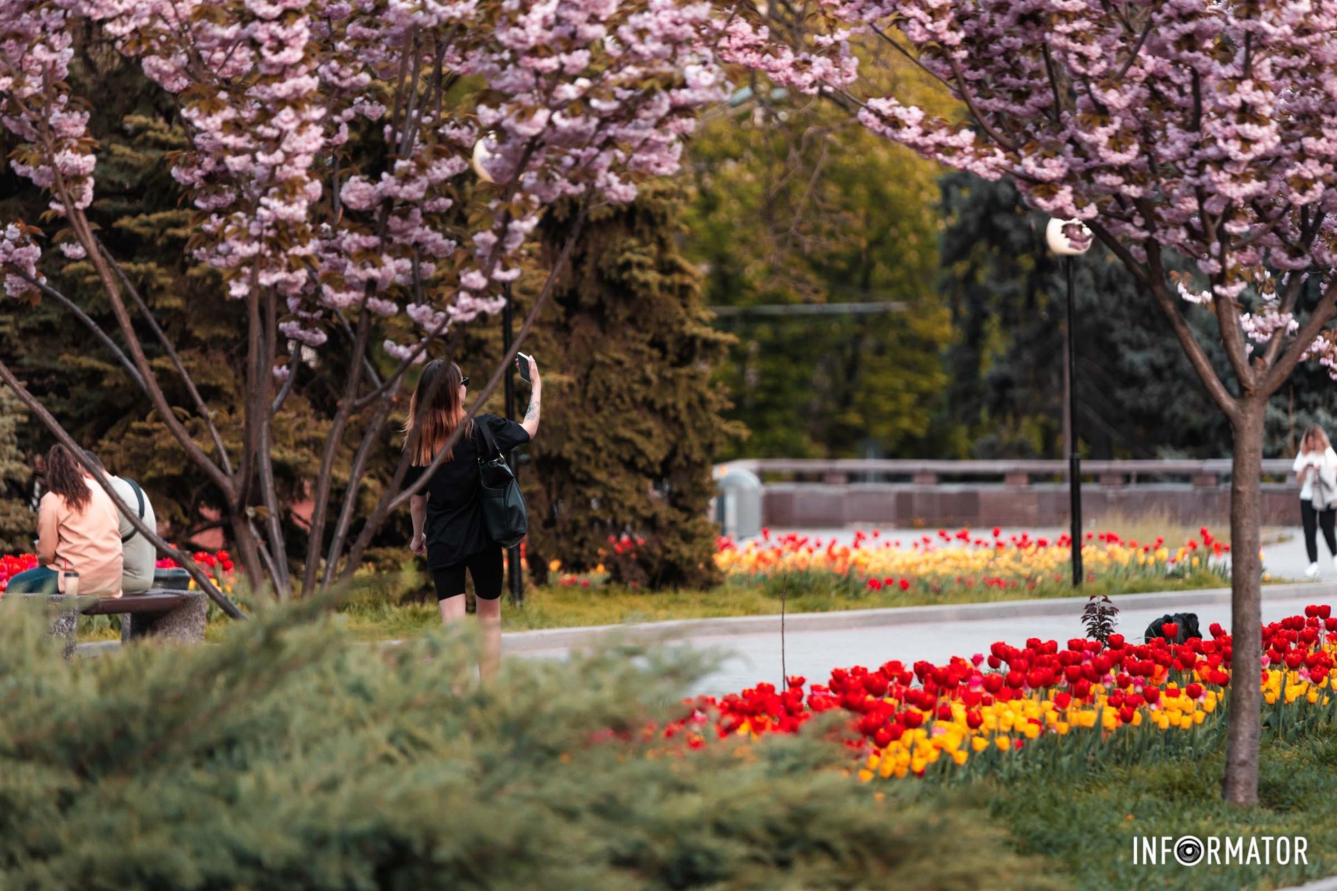 Так рясно-рясно маками повсюди…