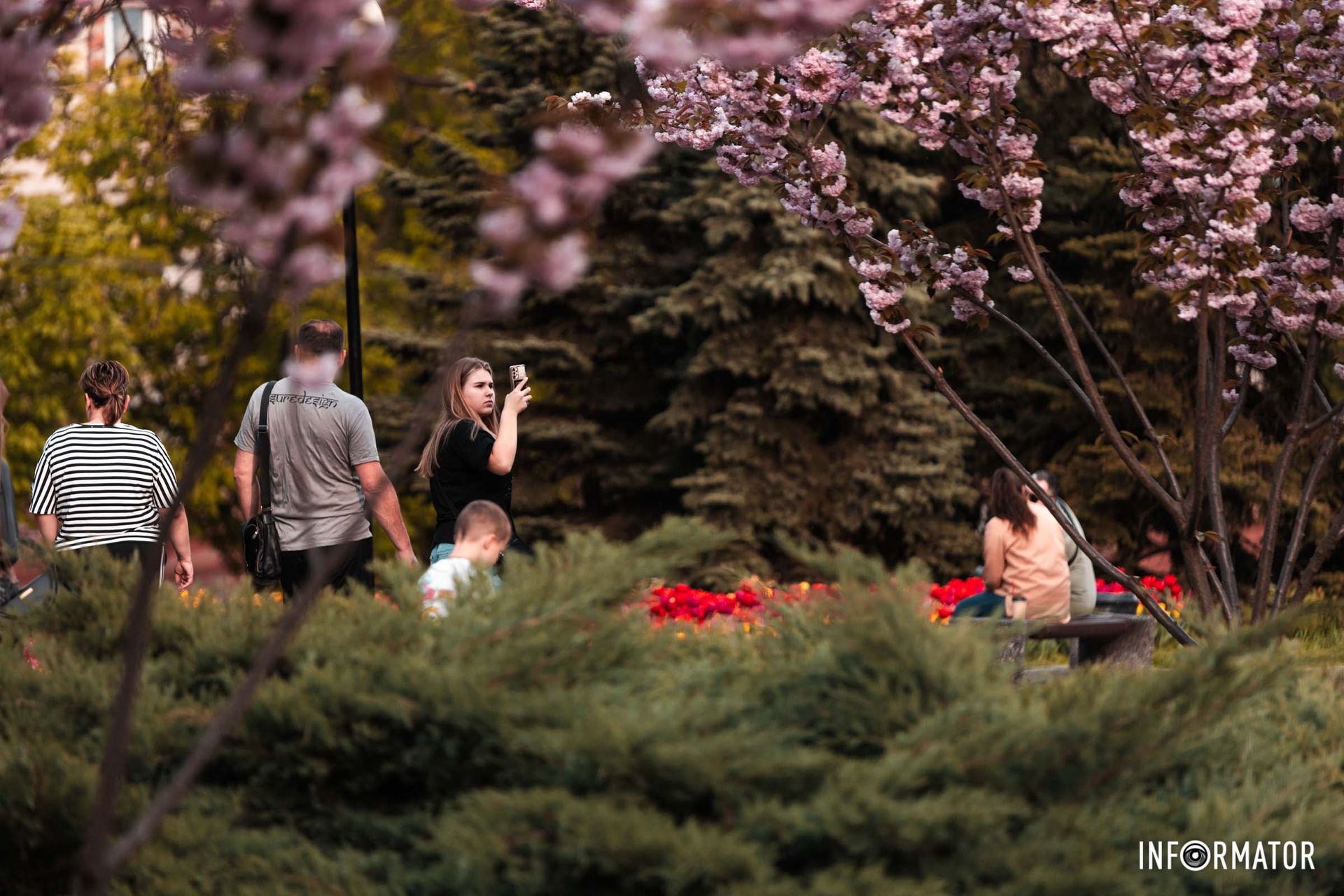 Та почали кривавити поля,