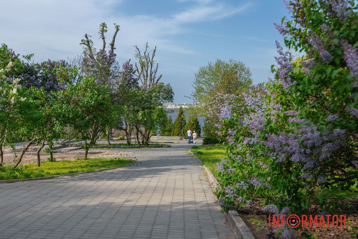 Ой, що це зі мною? Ночами не спиться.