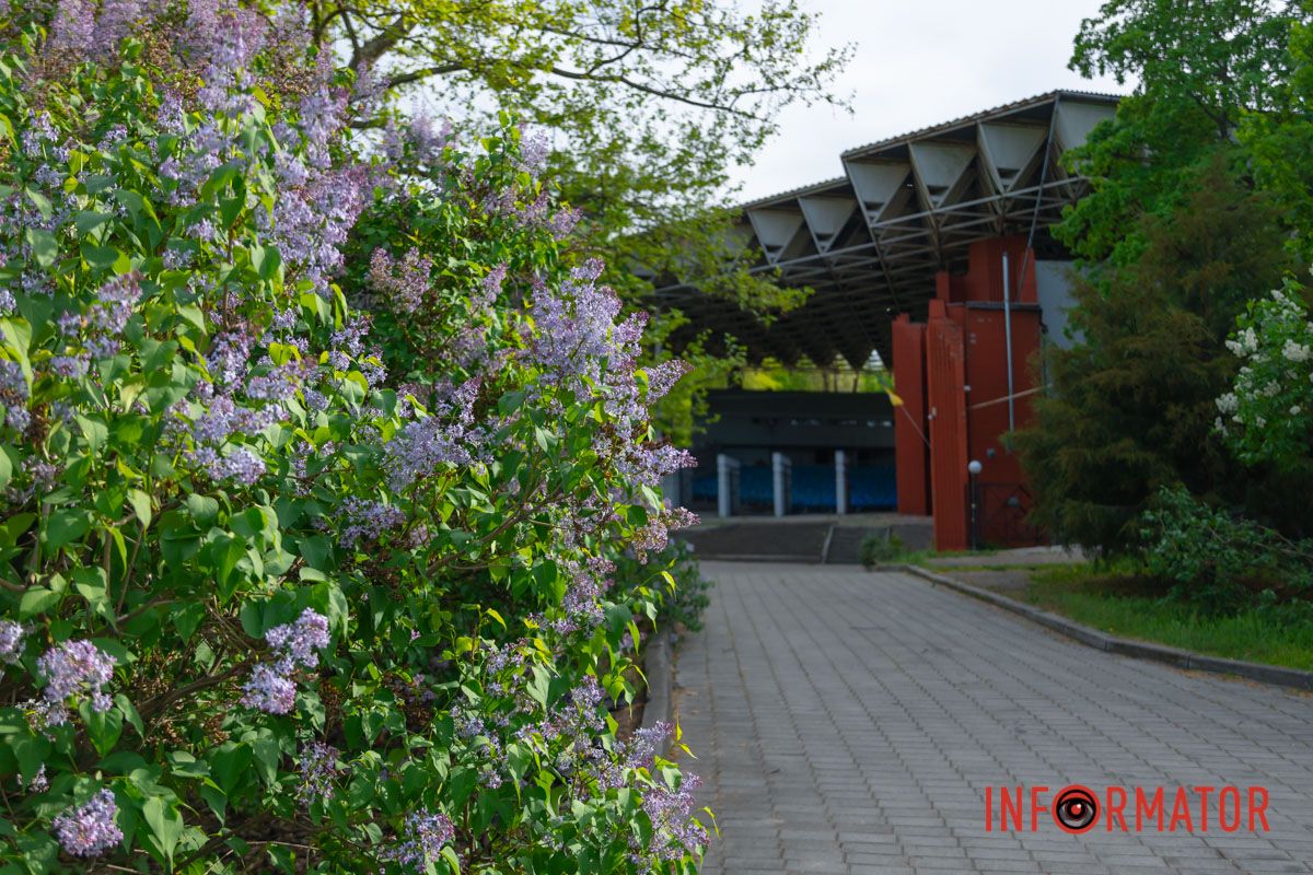 То цвіт черемховий... Ми в тому не винні,