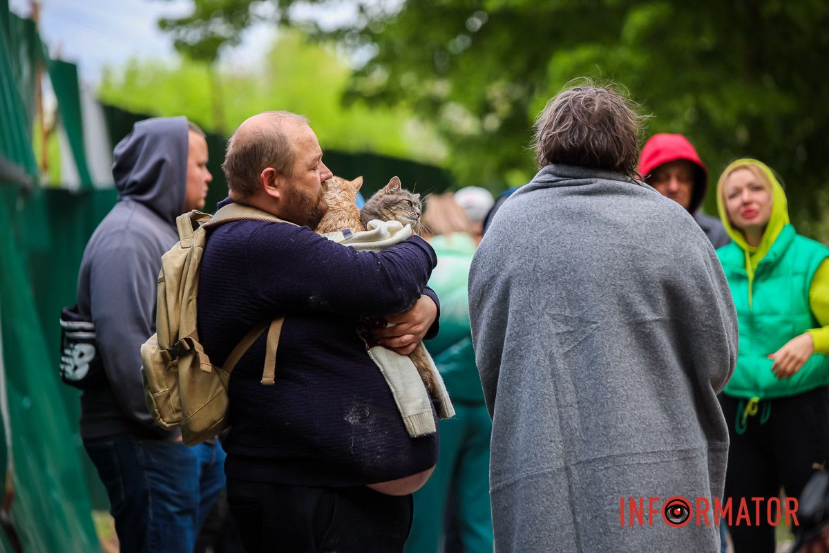 Спасли кошек