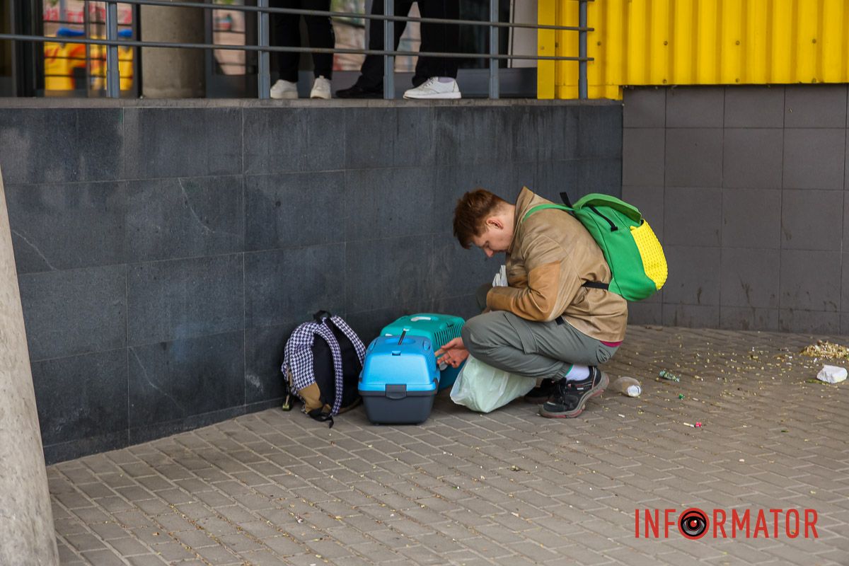 Успокаивает