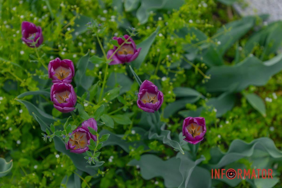 Фото: Денис Чубченко