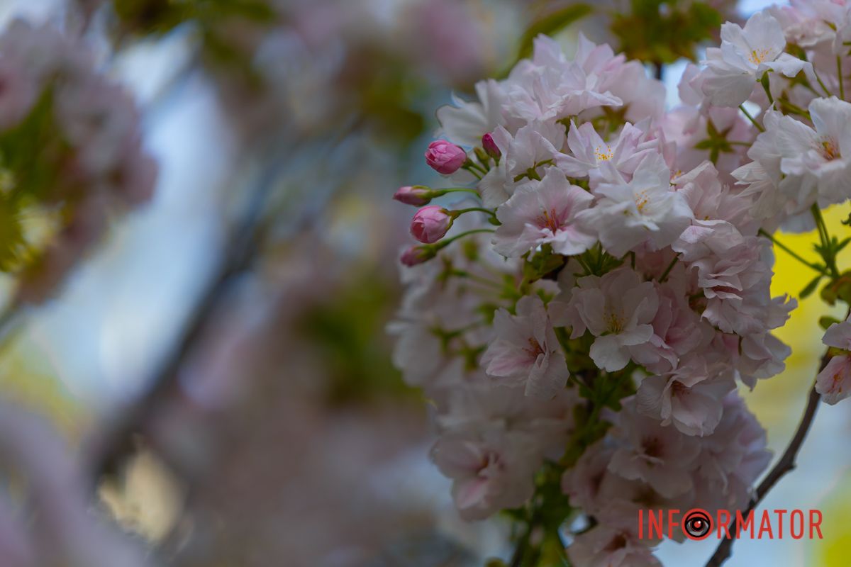 Спинись, прислухайся на мить,—