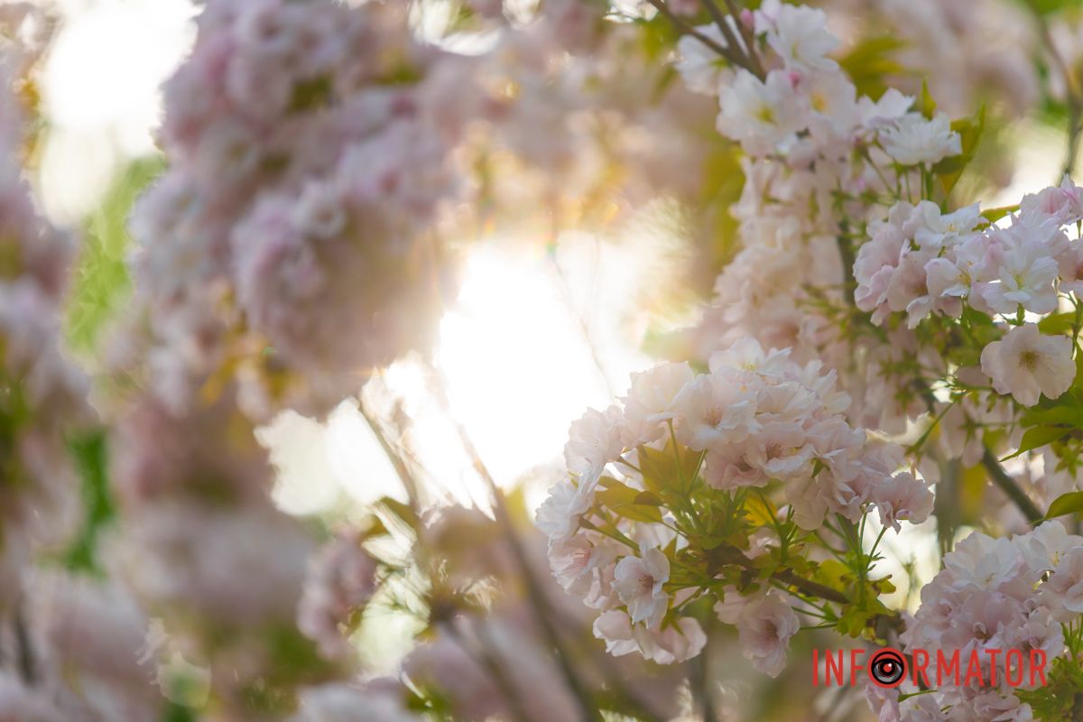 І з усіма вітається.