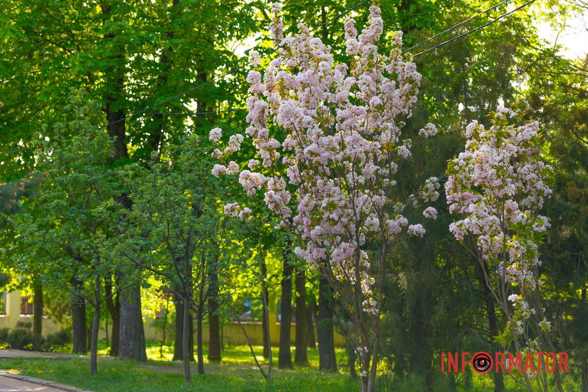 А березень спиняється