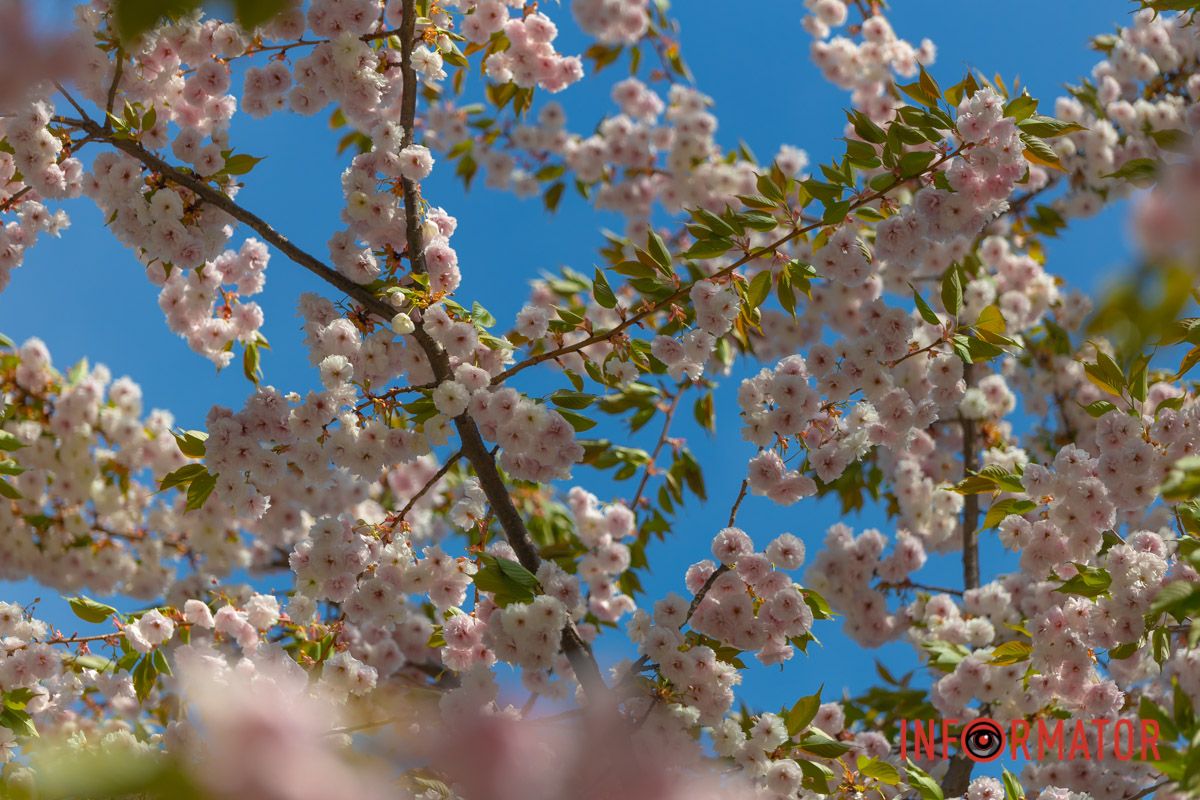 І просять ще дзвонити.