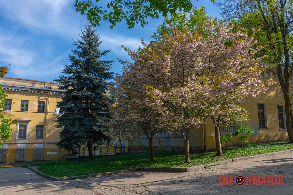 цвітом рушничок.