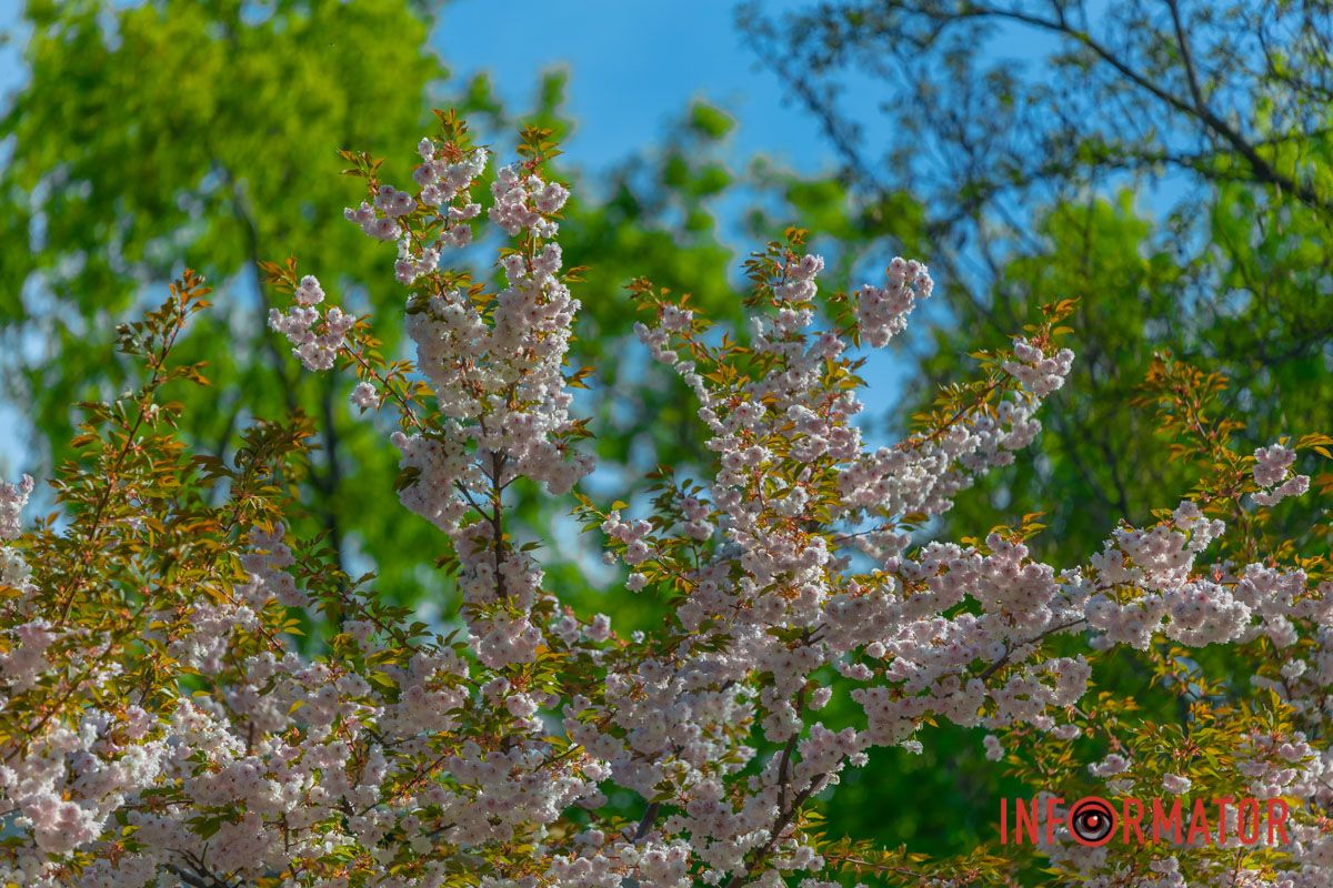 травами і ріками