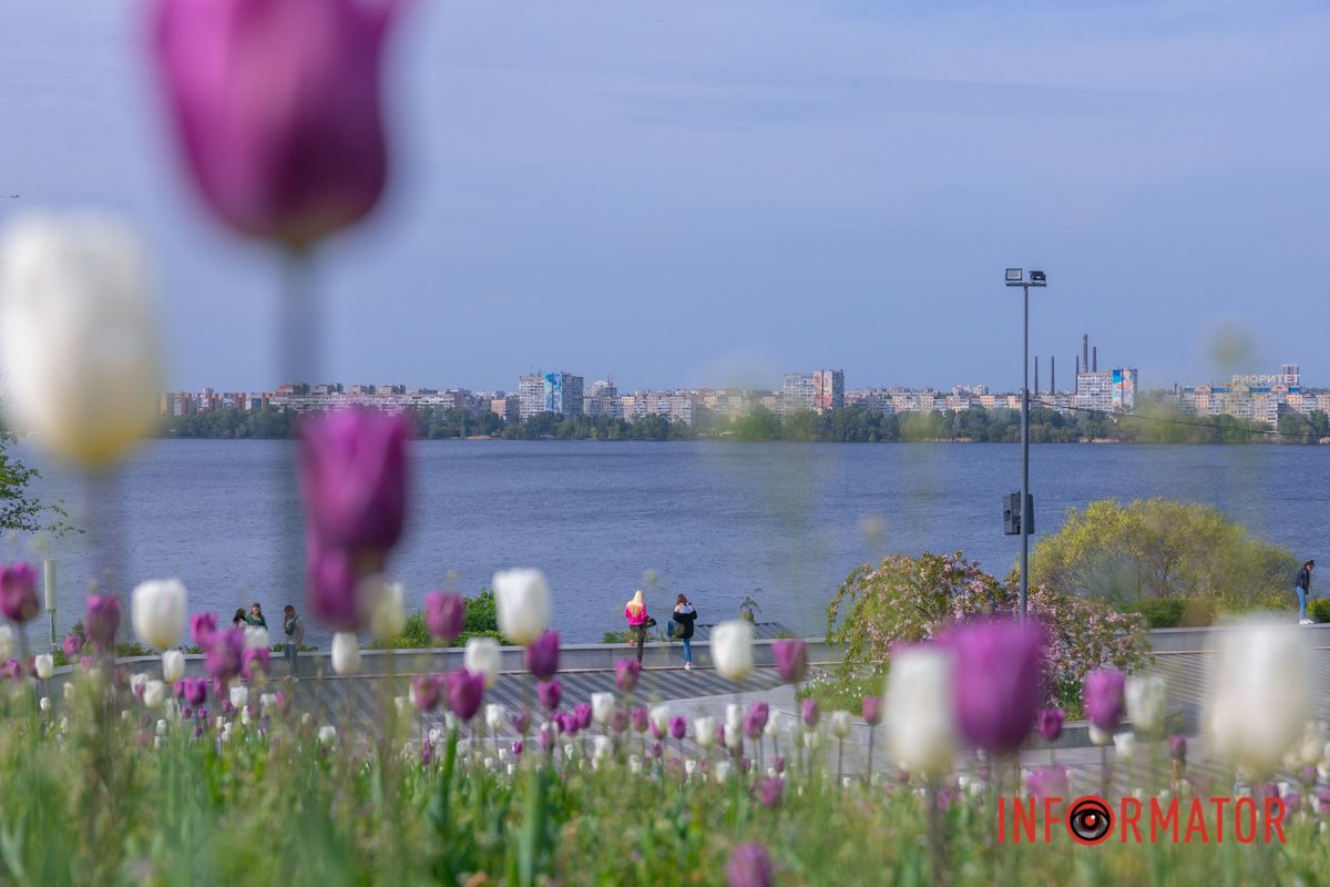 з червоними солов’ями.
