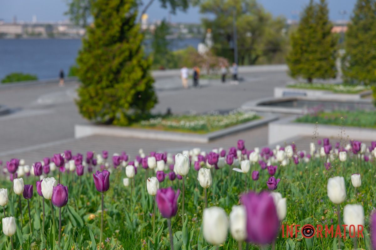 – Я квітую, – каже квітень, –