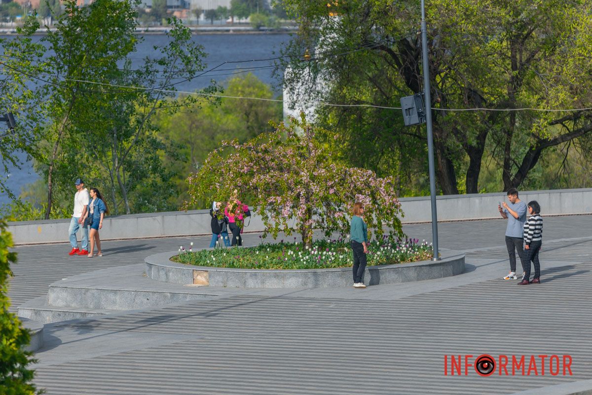 Жде-чекає солов’їв.